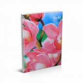 Тетрадка Multiprint Меки корици, спирала, 2 теми, А4 100 л. с широки редове