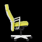 Ергономичен стол TAR - горчица