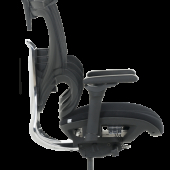 Ергономичен стол GANDER - черен