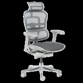 Ергономичен стол ERGOHUMAN ELITE 2 - сива рамка - сив