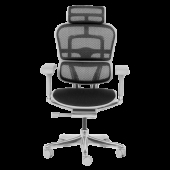 Ергономичен стол ERGOHUMAN ELITE 2 - сива рамка - черен