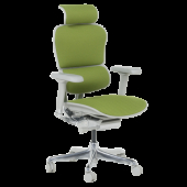 Ергономичен стол ERGOHUMAN ELITE 2 - сива рамка - зелен