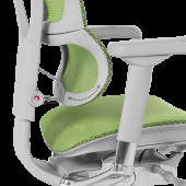 Ергономичен стол ERGOHUMAN IOO ELITE 2 - сива рамка - зелен