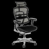 Ергономичен стол ERGOHUMAN ELITE 2 - черна рамка - черен