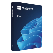 WIN 11 PRO 64BIT BULG USB FPP