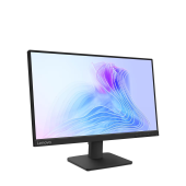 21.5 LENOVO L22-4E(D25215FL0)