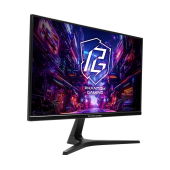 ASROCK 24.5 PG25FFT 180HZ